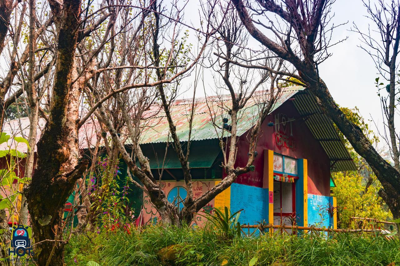 Hots Nainital Hostel Patwa Dunga Εξωτερικό φωτογραφία