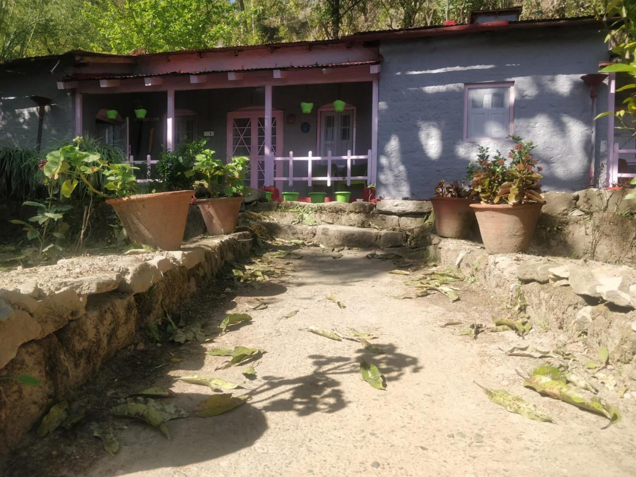 Hots Nainital Hostel Patwa Dunga Εξωτερικό φωτογραφία